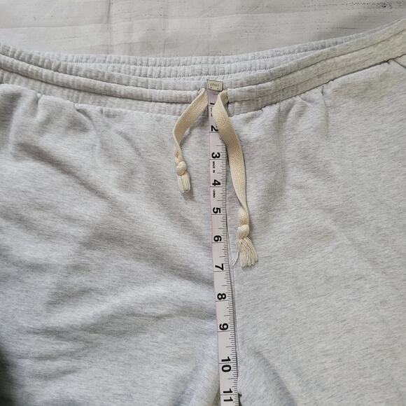 MWL by Madewell Size XL	Superbrushed Easygoing Sweatpants Icy Heather Gray - Picture 5 of 8